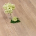 Паркетная доска Polarwood Ясень LIVING WHITE MATT (Россия)